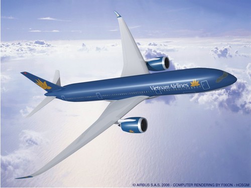 越航将空客A350-900型客机投入国际航线使用 - ảnh 1