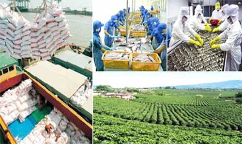 越南推动向新加坡出口农产品 - ảnh 1