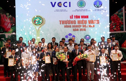 越南首次表彰农业黄金品牌 - ảnh 1