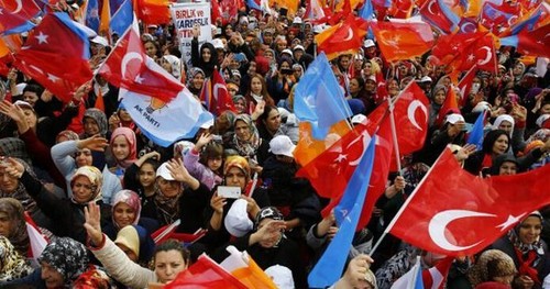 土耳其执政党在议会选举中胜出 - ảnh 1