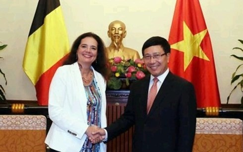 越南政府副总理兼外长范平明会见冰岛外交与外贸部长及比利时参议院议长 - ảnh 2