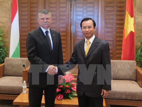 匈牙利国会代表团访问岘港市 - ảnh 1