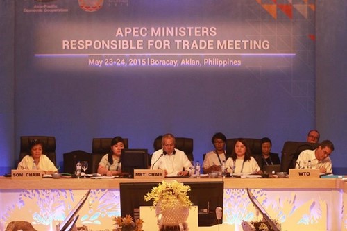 APEC部长级会议在菲律宾开幕 - ảnh 1