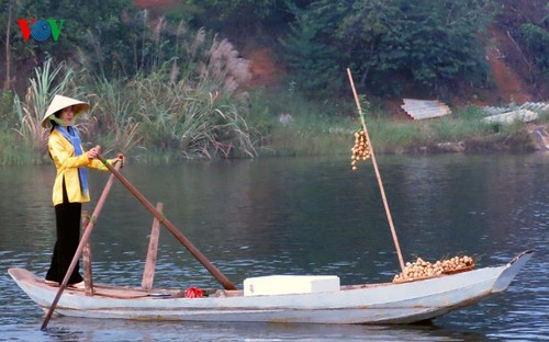 在河内越南民族旅游文化村再现南方水上集市文化 - ảnh 1