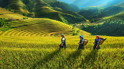 越南西北地区旅游推介与投资促进会举行 - ảnh 1