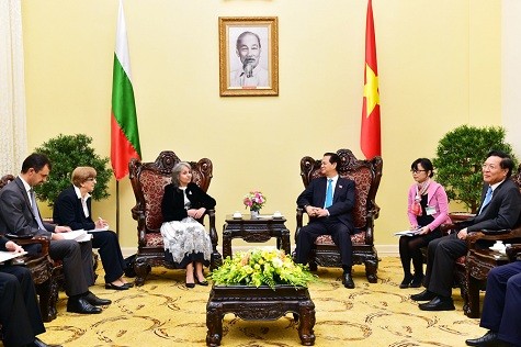 越南国会主席阮生雄和政府总理阮晋勇分别会见保加利亚副总统波波娃 - ảnh 1