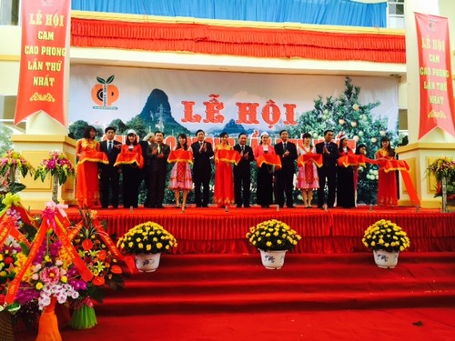越南和平省高峰橙子节吸引数万居民和游客参加 - ảnh 1