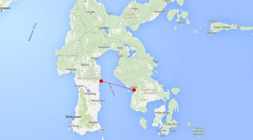 印度尼西亚载有100多人船只沉没 - ảnh 1