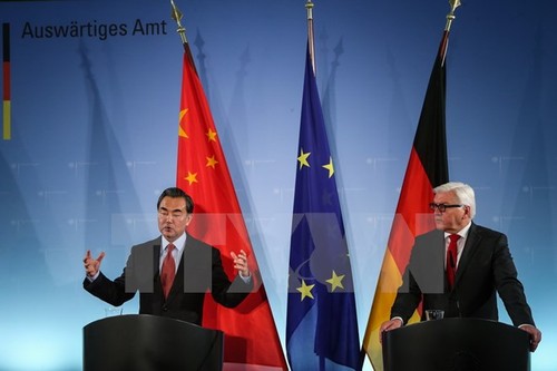 德中一致同意合作解决国际冲突 - ảnh 1