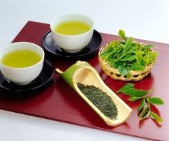 宣光省采用越南良好农业规范（VietGap）认证标准生产茶叶 - ảnh 2