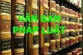 越南国会基于宪法精神完善法律体系 - ảnh 1