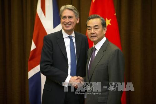 中国和英国就叙利亚问题发表声明 - ảnh 1