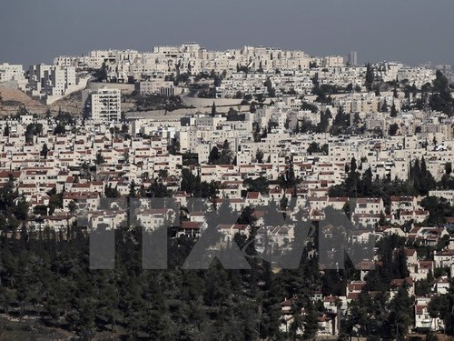 巴勒斯坦呼吁国际社会迫使以色列结束占领巴领土 - ảnh 1