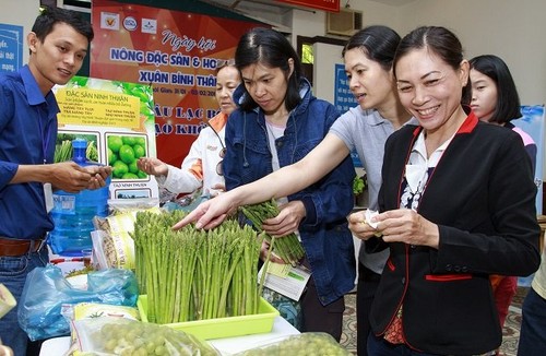 越南2016年丙申春节特色农产品和盆景日活动展销南方特产 - ảnh 1
