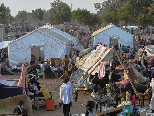 联合国安理会就南苏丹暴力状况发出警告 - ảnh 1