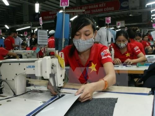 TPP有助于越南推动纺织品服装出口 - ảnh 1
