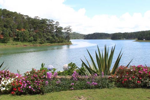 大叻市的泉林湖—仙石山生态旅游区 - ảnh 1