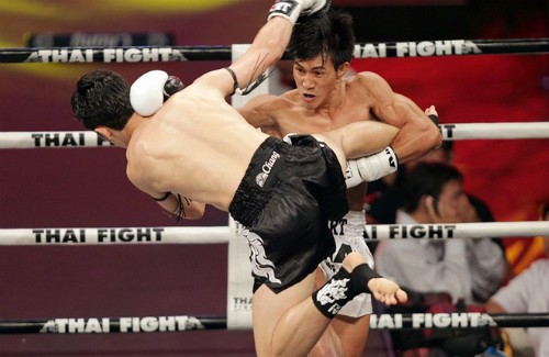 越南在世界泰拳锦标赛上获得5枚奖牌 - ảnh 1