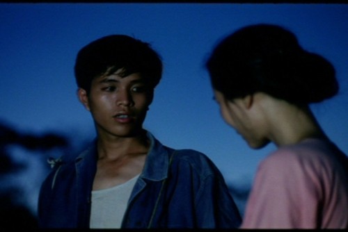 越南著名影片《怀念田野》在瑞士越南文化日上公映 - ảnh 1