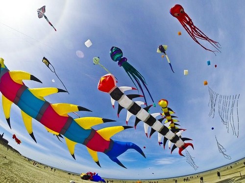 “和平之舞”2016年国际风筝节将在巴地头顿省举行 - ảnh 1