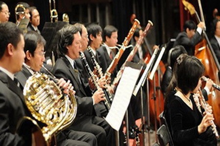 贝多芬经典作品音乐会在河内举行 - ảnh 1