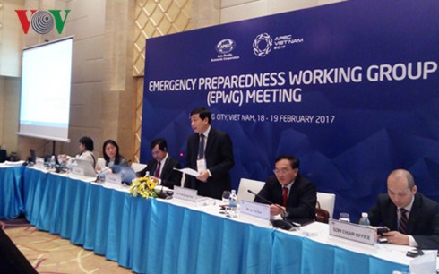 越南在APEC工作组会议上提出多项倡议和建议 - ảnh 1