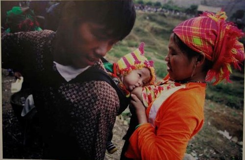“越南家庭平等”图片展在河内举行 - ảnh 1
