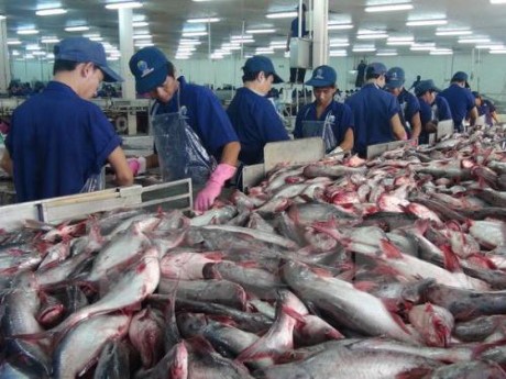 越南将于10月举行茶鱼及水产品交易会 - ảnh 1