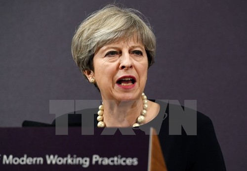 英国首相特雷莎·梅驳斥退出政坛谣传 - ảnh 1