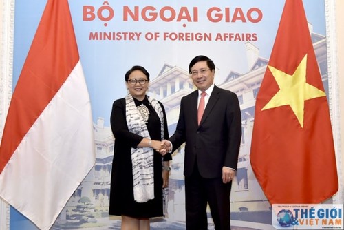 推动越南-印尼战略伙伴关系日益深入全面发展 - ảnh 1