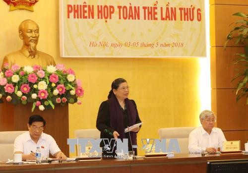 越南国会民族委员会第六次全体会议开幕 - ảnh 1