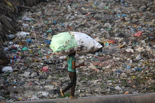 世界环境日：联合国呼吁严格控制塑料袋的使用 - ảnh 1