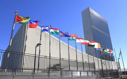 联合国继续强调其在国际新背景下的作用 - ảnh 1