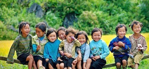 越南儿童保护基金会力争2019年照顾1000万特困儿童的生活 - ảnh 1