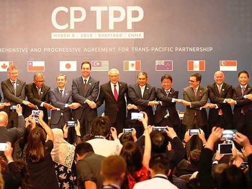 CPTPP：越南企业的挑战 - ảnh 1