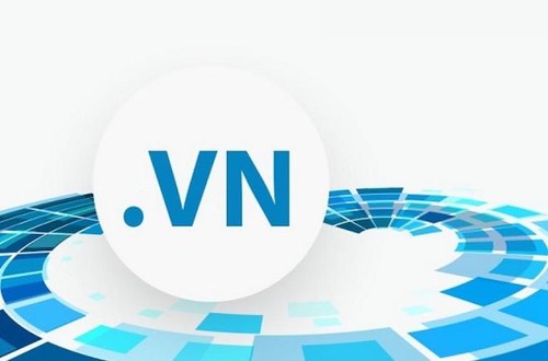 “.VN”一直是东南亚使用注册比率最高的国家域名 - ảnh 1