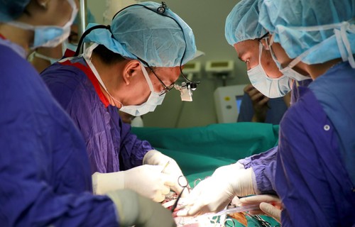 面向对接区域内大型器官移植手术中心 - ảnh 1