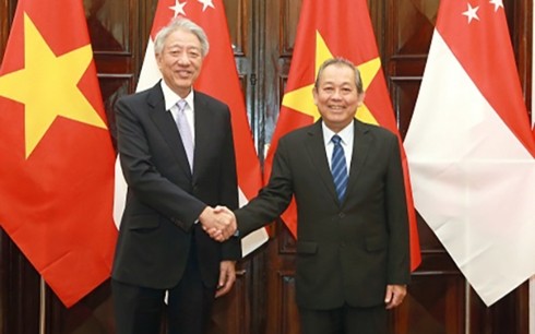 张和平与新加坡副总理兼国家安全统筹部长张志贤举行会谈 - ảnh 1