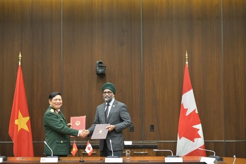 国防合作有助于丰富越南-加拿大全面伙伴关系 - ảnh 1