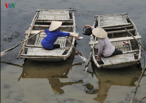 探索越南第9处国际重要湿地-云龙之美 - ảnh 4