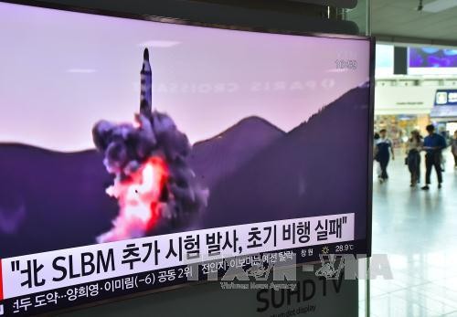 美日韩推动外交努力  实现朝鲜半岛无核化 - ảnh 1