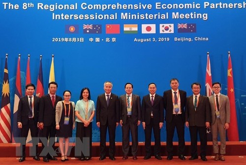 越南出席在中国举行的RCEP第八次部长级会议 - ảnh 1
