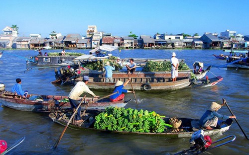芹苴市被列入世界15座最美滨河城市名单 - ảnh 1