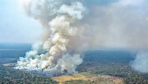 亚马逊大火不是某个国家的内部事务 - ảnh 2
