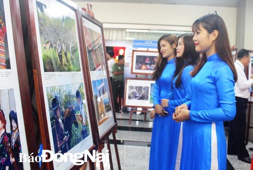 东盟图片和资料片展在同奈省举行 - ảnh 1
