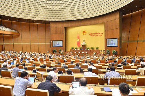 越南国会讨论预防打击犯罪工作 - ảnh 1