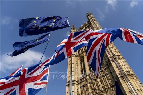 英国脱欧后的英欧贸易谈判将延长至10月 - ảnh 1