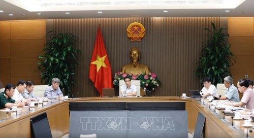 越南新冠肺炎疫情防控工作国家指导委员会举行会议 - ảnh 1