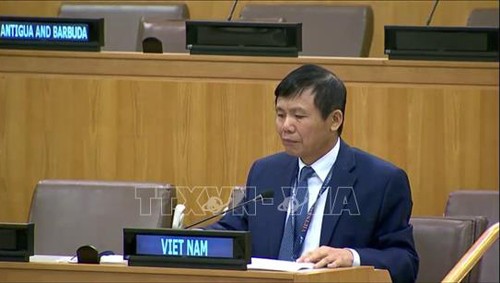 越南强调东盟支持不扩散杀伤性武器和不搞军备竞赛 - ảnh 1