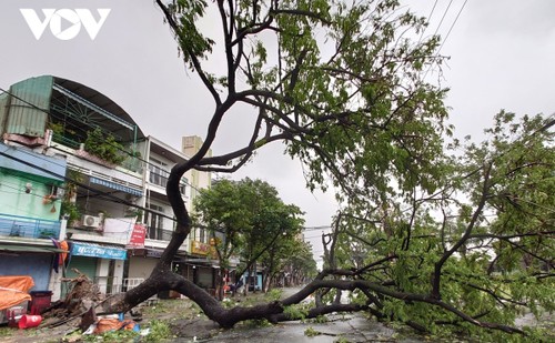 台风莫拉菲登陆越南中部，多间住房坍塌掀顶 - ảnh 2